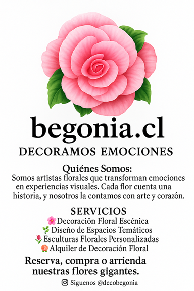 begonia.cl - Decoramos Emociones